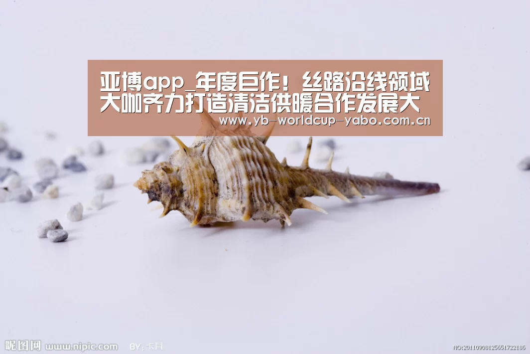 亚博app_年度巨作!丝路沿线领域大咖齐力打造清洁供暖合作发展大会(图1) 亚博app