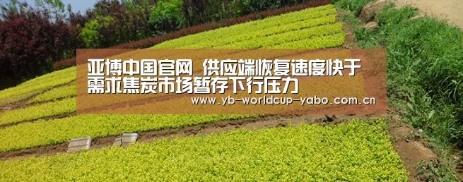 亚博网站