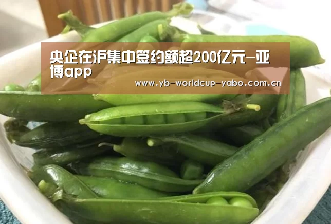 央企在沪集中签约额超200亿元-亚博app(图1) 亚博官网