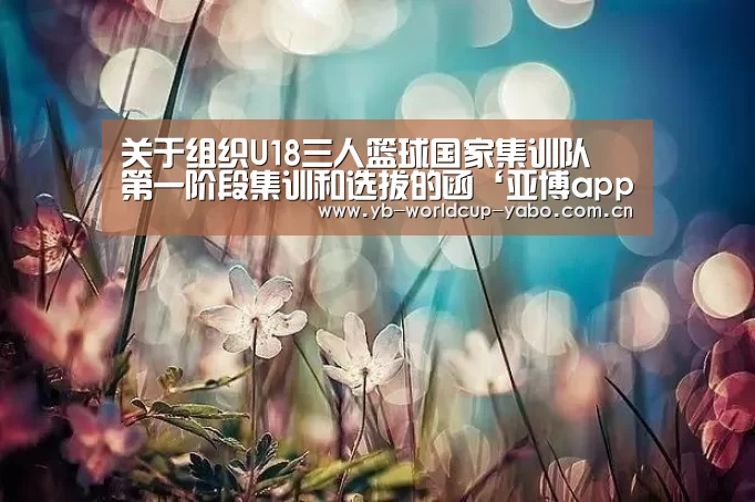 亚博app
